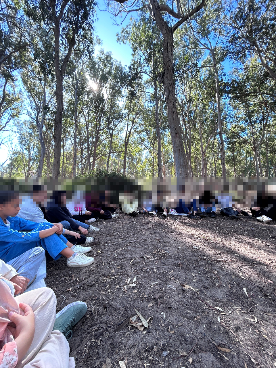 Grounding / Breathing Exercise visuals