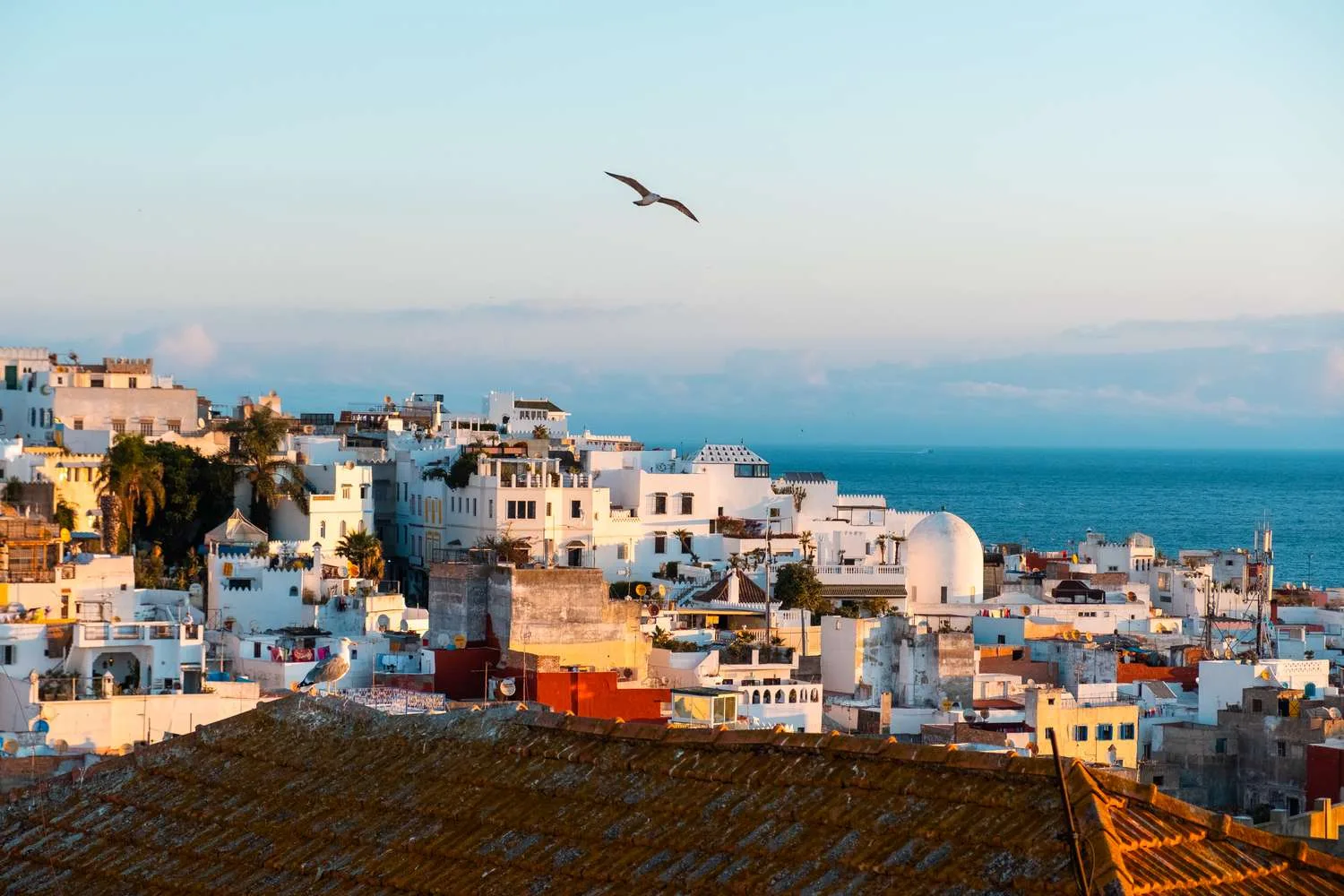 Things to Do in Tangier: A Local-Inspired Guide to Culture, Cafés & Sea Views